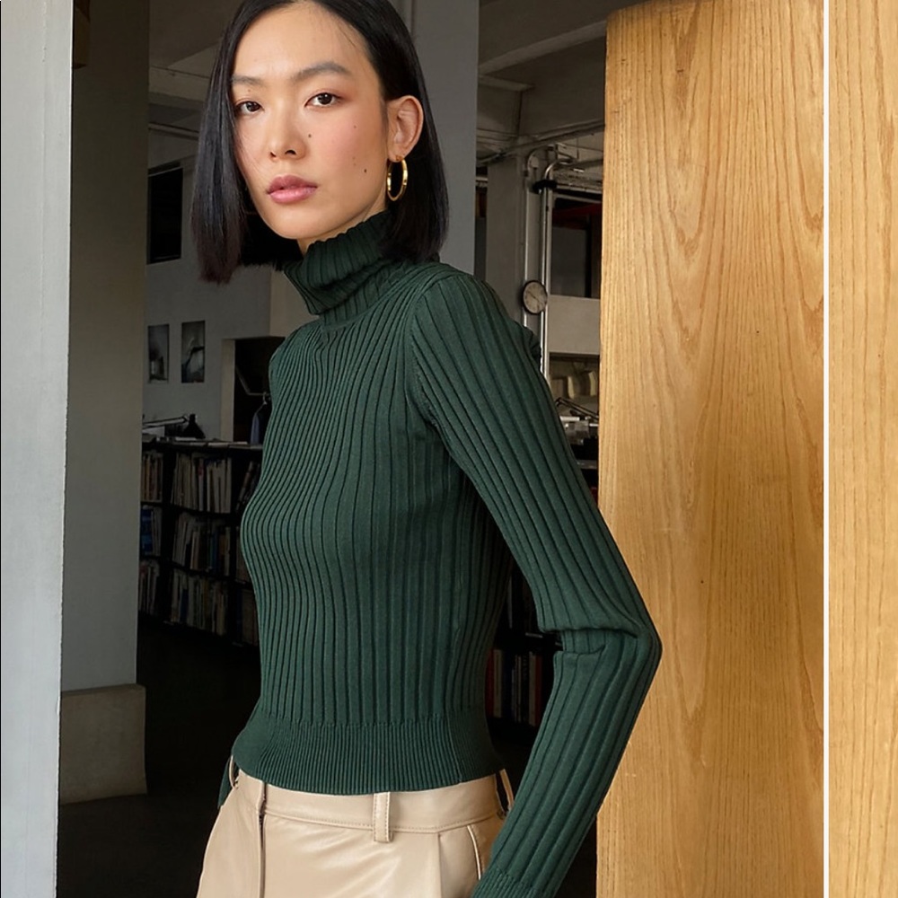 ARITZIA turtleneck